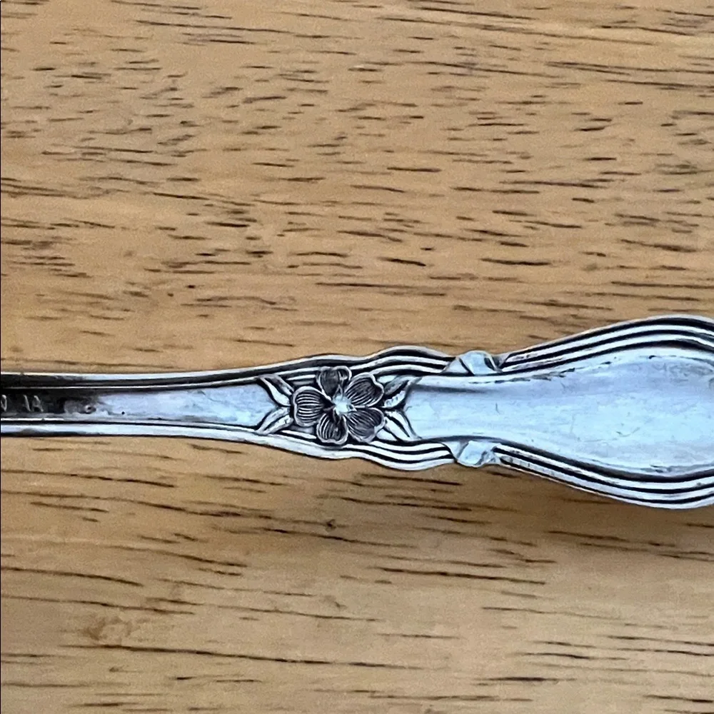 Antique Wm Roger’s Arbutus AA Elegant Silver Plated Gravy Ladle